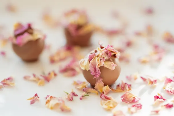 Otto Kasino Android/iOS Aplikácia